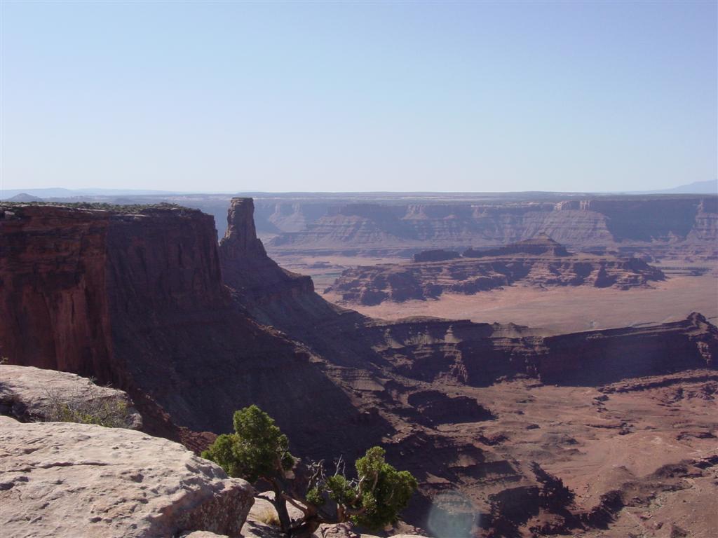 DSC02537 (Large).JPG DSC02537 (Large).JPG